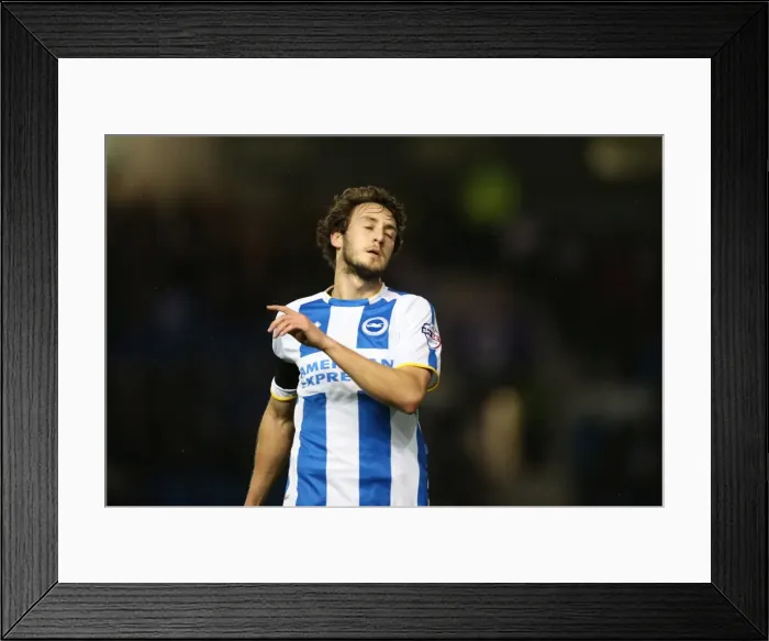 Framed Print : Brighton & Hove Albion vs. Hull City: 2013-14 Season Home Game Framed Print : Brighton & Hove Albion vs. Hull City: 2013-14 Season Home Game