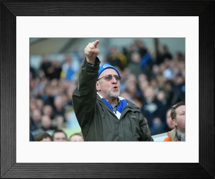 Framed Print : Brighton & Hove Albion vs. Wigan Athletic (2013-14 Season): Home Game Highlights (February 22, 2014) Framed Print : Brighton & Hove Albion vs. Wigan Athletic (2013-14 Season): Home Game Highlights (February 22, 2014)