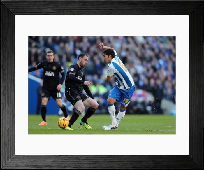 Framed Print : Brighton & Hove Albion vs. Wigan Athletic (2013-14 Season): Home Game Highlights (February 22, 2014) Framed Print : Brighton & Hove Albion vs. Wigan Athletic (2013-14 Season): Home Game Highlights (February 22, 2014)