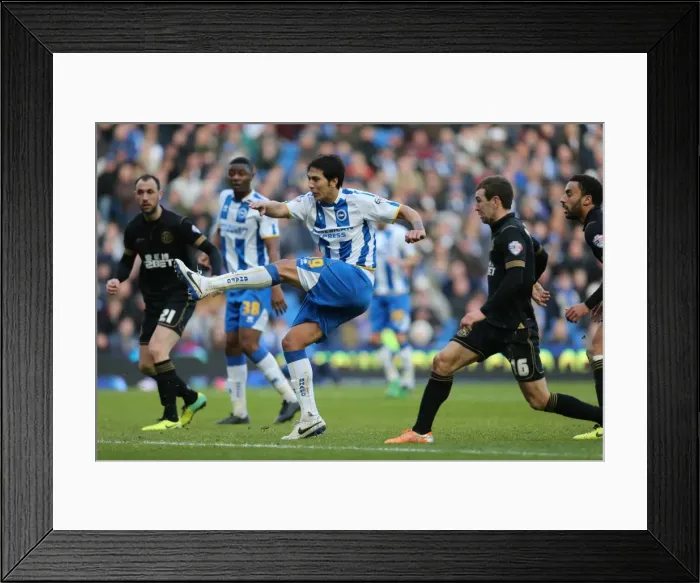 Framed Print : Brighton & Hove Albion vs. Wigan Athletic (2013-14 Season): Home Game Highlights - February 22, 2014