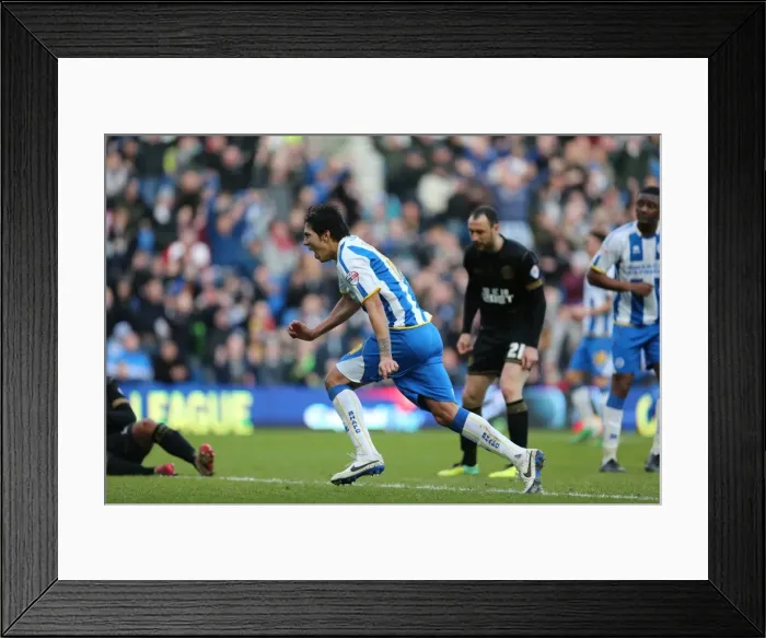 Framed Print : Brighton & Hove Albion vs. Wigan Athletic (2013-14 Season): Home Game Highlights (February 22, 2014) Framed Print : Brighton & Hove Albion vs. Wigan Athletic (2013-14 Season): Home Game Highlights (February 22, 2014)
