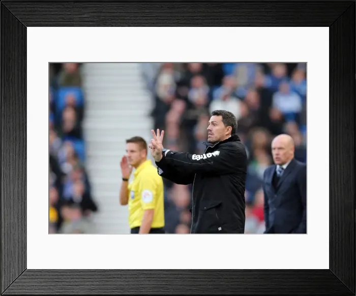 Framed Print : Brighton & Hove Albion vs. Wigan Athletic (2013-14 Season: Home Game)