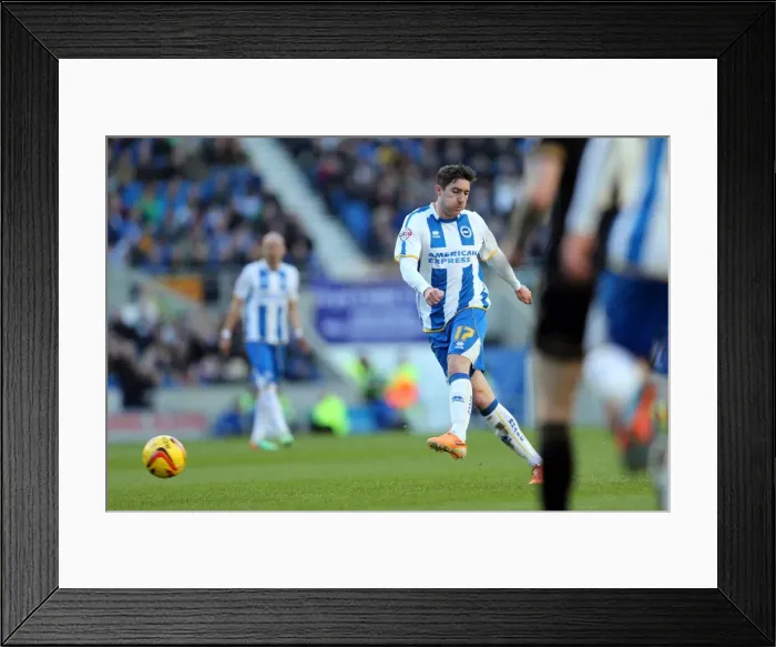 Framed Print : Brighton & Hove Albion vs. Wigan Athletic (2013-14 Season): Home Game Highlights - 22-02-2014 Framed Print : Brighton & Hove Albion vs. Wigan Athletic (2013-14 Season): Home Game Highlights - 22-02-2014