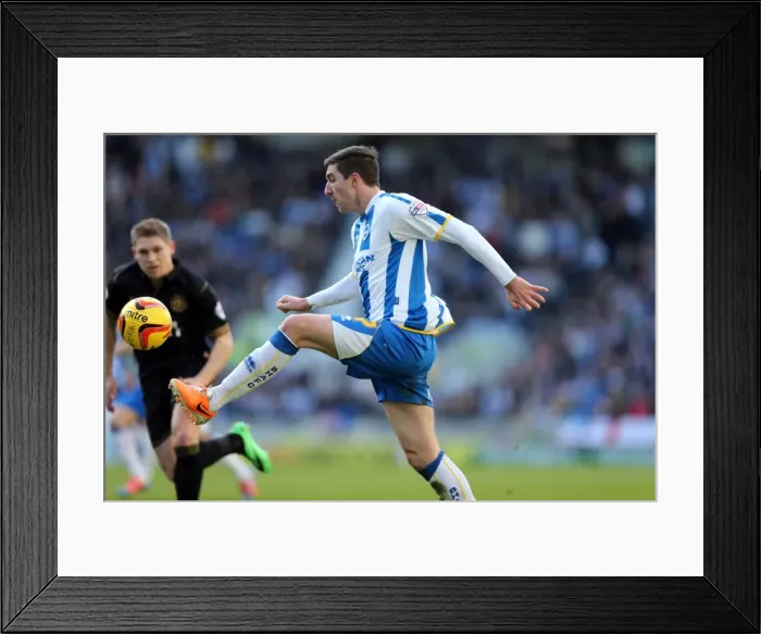 Framed Print : Brighton & Hove Albion vs. Wigan Athletic (2013-14 Season): Home Game Highlights (22-02-2014) Framed Print : Brighton & Hove Albion vs. Wigan Athletic (2013-14 Season): Home Game Highlights (22-02-2014)