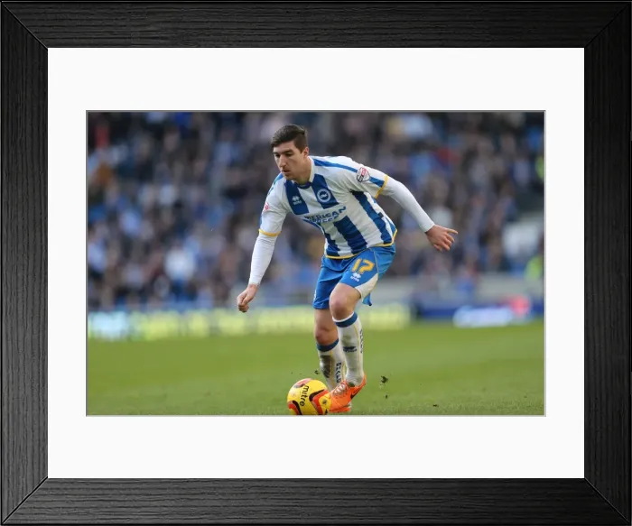 Framed Print : Brighton & Hove Albion vs. Wigan Athletic (2013-14 Season): Home Game Highlights - 22-02-2014