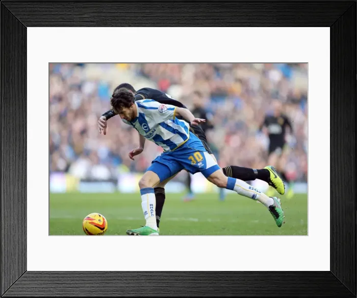 Framed Print : Brighton & Hove Albion vs. Wigan Athletic: 2013-14 Home Game (February 22)