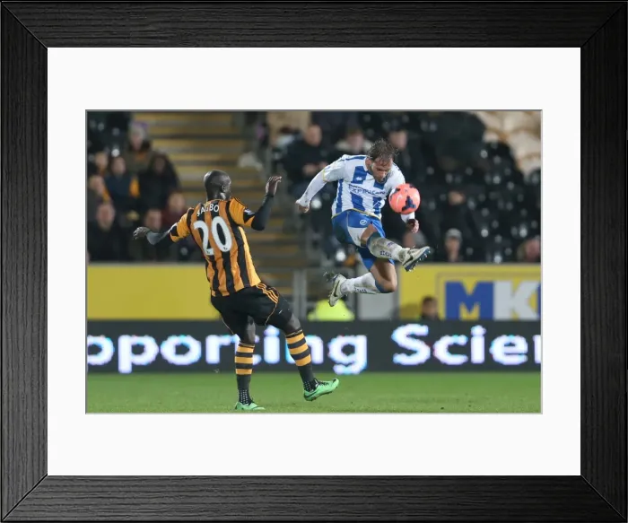 Framed Print : Brighton & Hove Albion at Hull City (Away), 24-02-2014 Framed Print : Brighton & Hove Albion at Hull City (Away), 24-02-2014