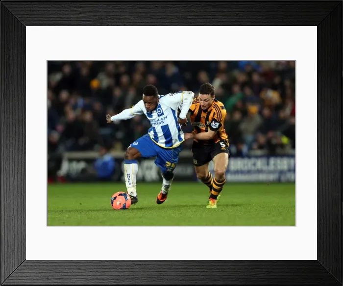 Framed Print : Brighton & Hove Albion at Hull City (Away), 24-02-2014 Framed Print : Brighton & Hove Albion at Hull City (Away), 24-02-2014