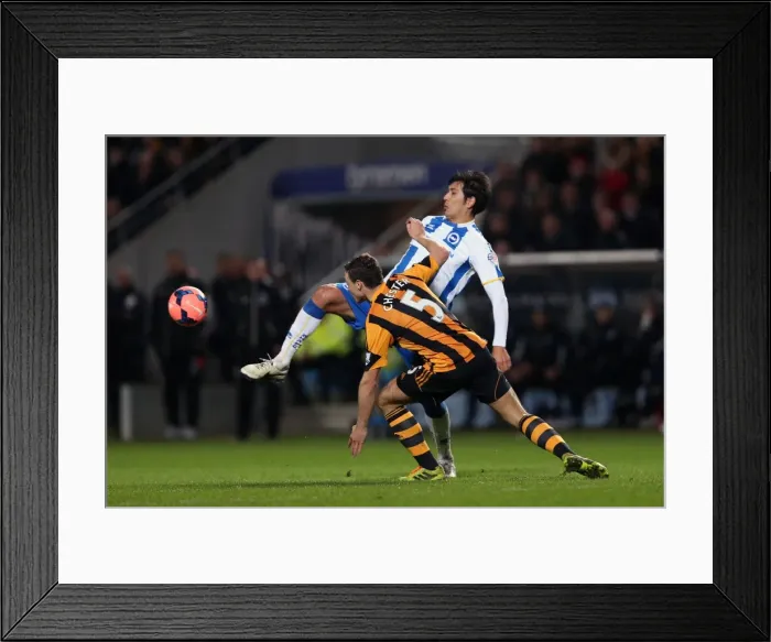 Framed Print : Brighton & Hove Albion vs. Hull City (Away): 24-02-2014 Framed Print : Brighton & Hove Albion vs. Hull City (Away): 24-02-2014
