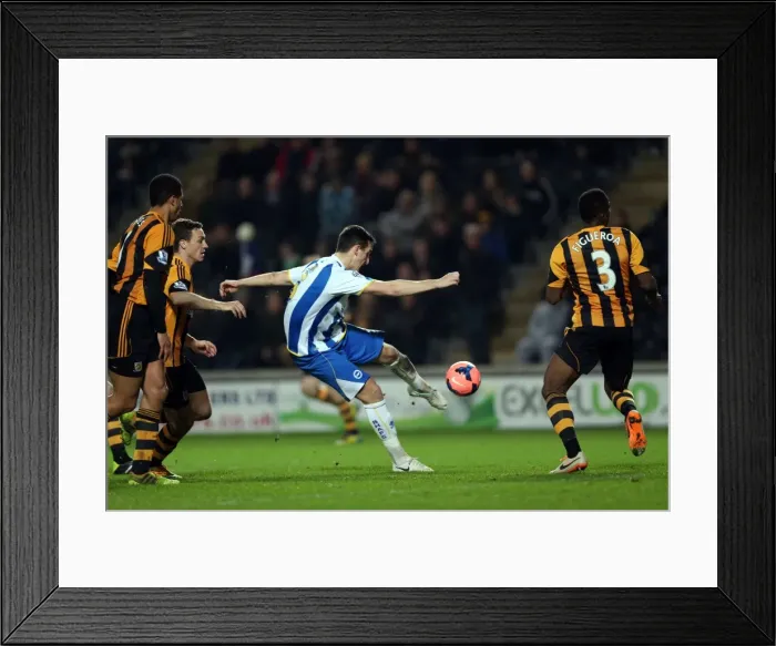 Framed Print : Brighton & Hove Albion at Hull City (Away), 24-02-2014 Framed Print : Brighton & Hove Albion at Hull City (Away), 24-02-2014