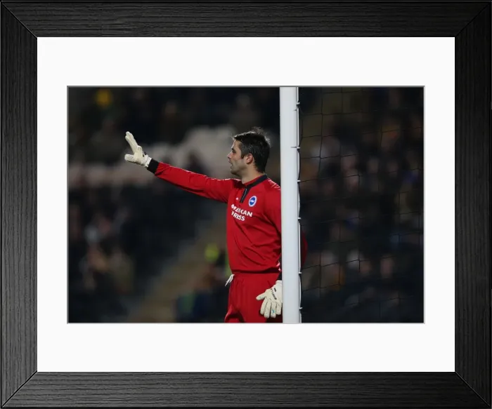 Framed Print : Brighton & Hove Albion at Hull City (Away), 24-02-2014 Framed Print : Brighton & Hove Albion at Hull City (Away), 24-02-2014