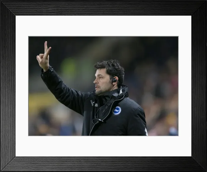 Framed Print : Brighton & Hove Albion at Hull City (Away Game), February 24, 2014 Framed Print : Brighton & Hove Albion at Hull City (Away Game), February 24, 2014