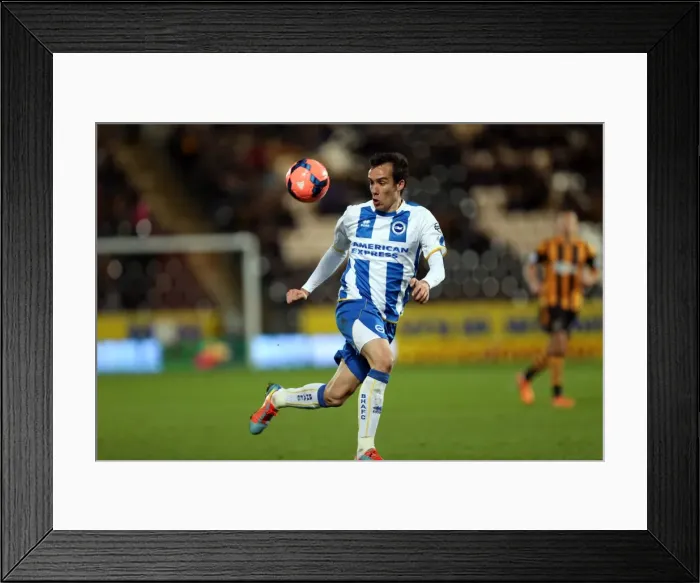 Framed Print : Brighton & Hove Albion vs. Hull City: 2013-14 Away Game (February 24, 2014) Framed Print : Brighton & Hove Albion vs. Hull City: 2013-14 Away Game (February 24, 2014)