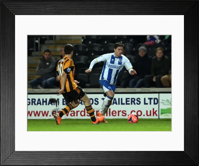 Framed Print : Brighton & Hove Albion vs. Hull City (Away): 24-02-2014 Framed Print : Brighton & Hove Albion vs. Hull City (Away): 24-02-2014
