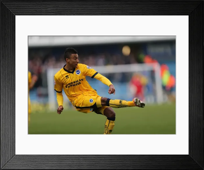 Framed Print : Brighton & Hove Albion vs Millwall: Away Game, March 1, 2014 (Millwall 01-03-2014) Framed Print : Brighton & Hove Albion vs Millwall: Away Game, March 1, 2014 (Millwall 01-03-2014)