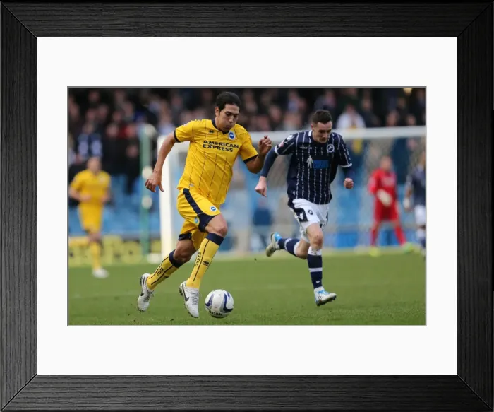 Framed Print : Brighton & Hove Albion vs Millwall: Away Game - March 1, 2014 (Millwall 01-03-2014) Framed Print : Brighton & Hove Albion vs Millwall: Away Game - March 1, 2014 (Millwall 01-03-2014)