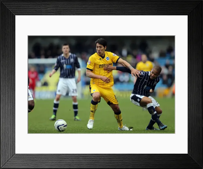 Framed Print : Brighton and Hove Albion vs Millwall: Away Game, March 1, 2014 Framed Print : Brighton and Hove Albion vs Millwall: Away Game, March 1, 2014