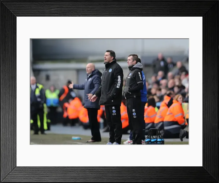 Framed Print : Brighton & Hove Albion vs Millwall: Away Game - March 1, 2014 (2013-14 Season) Framed Print : Brighton & Hove Albion vs Millwall: Away Game - March 1, 2014 (2013-14 Season)