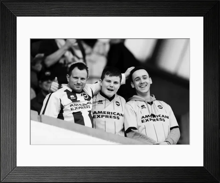Framed Print : Brighton & Hove Albion vs. Millwall: Away Game, March 1, 2014 Framed Print : Brighton & Hove Albion vs. Millwall: Away Game, March 1, 2014