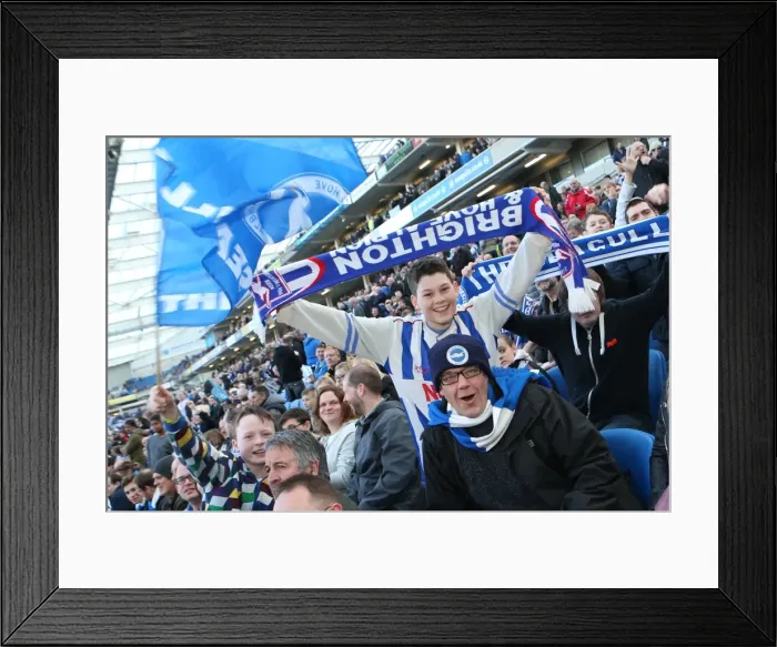 Framed Print : Brighton & Hove Albion vs. Reading: A 2013-14 Championship Showdown (Reading, 08-03-2014) Framed Print : Brighton & Hove Albion vs. Reading: A 2013-14 Championship Showdown (Reading, 08-03-2014)