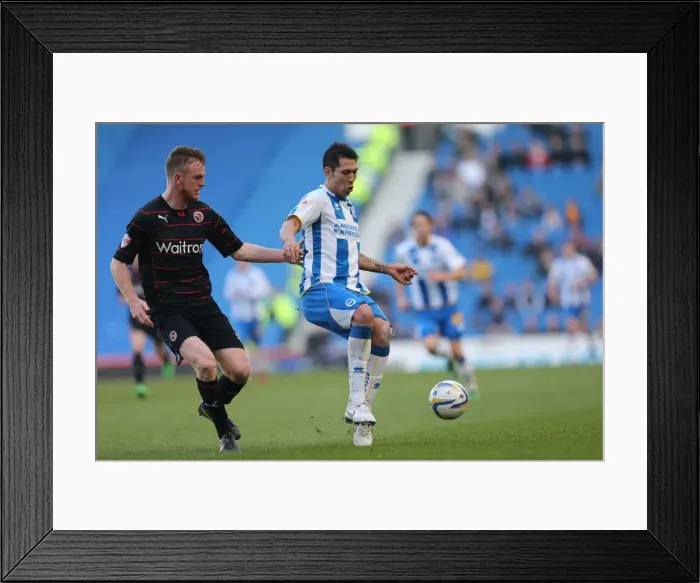 Framed Print : Brighton & Hove Albion vs. Reading: A 2013-14 Championship Showdown (March 8, 2014) Framed Print : Brighton & Hove Albion vs. Reading: A 2013-14 Championship Showdown (March 8, 2014)