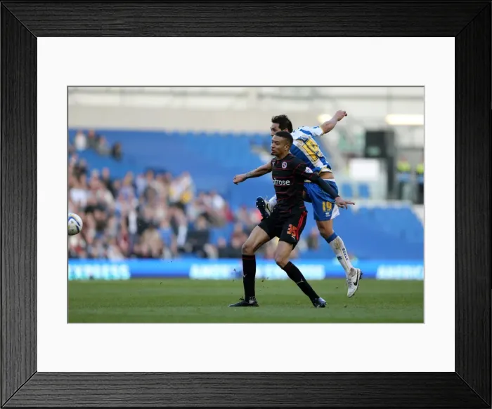 Framed Print : Brighton & Hove Albion vs. Reading - 2013-14 Season: Home Game Highlights (8-3-2014)