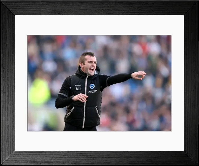 Framed Print : Brighton & Hove Albion vs. Reading: A 2013-14 Championship Showdown (Reading, 08-03-2014) Framed Print : Brighton & Hove Albion vs. Reading: A 2013-14 Championship Showdown (Reading, 08-03-2014)