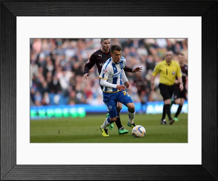Framed Print : Brighton & Hove Albion vs. Reading: A 2013-14 Home Game (March 8, 2014) Framed Print : Brighton & Hove Albion vs. Reading: A 2013-14 Home Game (March 8, 2014)