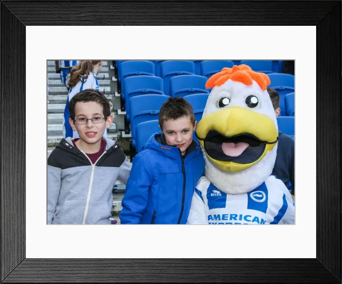 Framed Print : Brighton & Hove Albion vs. Reading - 2013-14 Season: Home Game Highlights (Reading, 08-03-2014) Framed Print : Brighton & Hove Albion vs. Reading - 2013-14 Season: Home Game Highlights (Reading, 08-03-2014)