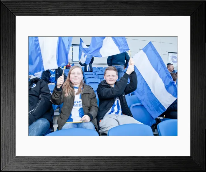 Framed Print : Brighton & Hove Albion vs. Reading: A 2013-14 Home Game (08-03-2014) Framed Print : Brighton & Hove Albion vs. Reading: A 2013-14 Home Game (08-03-2014)