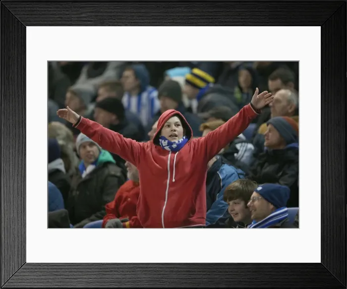 Framed Print : Brighton & Hove Albion vs. QPR: A Historic 11-3 Victory (11-03-2014) Framed Print : Brighton & Hove Albion vs. QPR: A Historic 11-3 Victory (11-03-2014)
