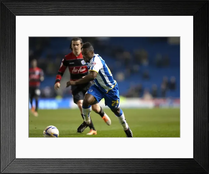Framed Print : Brighton & Hove Albion vs. QPR: A Historic 11-3 Victory (2013-14 Home Games) Framed Print : Brighton & Hove Albion vs. QPR: A Historic 11-3 Victory (2013-14 Home Games)
