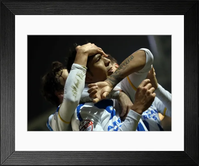Framed Print : Brighton & Hove Albion vs. QPR: A Historic 11-3 Victory (2013-14 Home Games) Framed Print : Brighton & Hove Albion vs. QPR: A Historic 11-3 Victory (2013-14 Home Games)