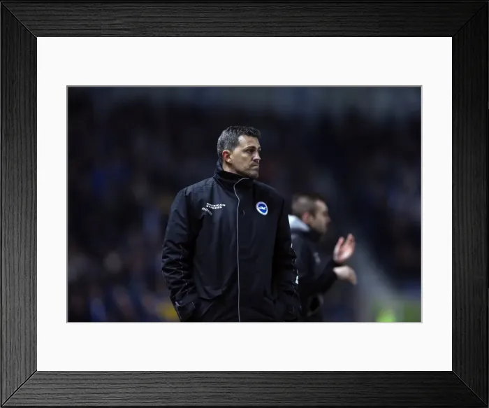 Framed Print : Brighton & Hove Albion vs. QPR: A Historic 11-3 Victory (11-03-2014) Framed Print : Brighton & Hove Albion vs. QPR: A Historic 11-3 Victory (11-03-2014)