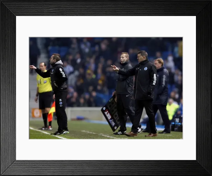 Framed Print : Brighton & Hove Albion vs QPR: A Historic 11-3 Victory in the 2013-14 Season Framed Print : Brighton & Hove Albion vs QPR: A Historic 11-3 Victory in the 2013-14 Season