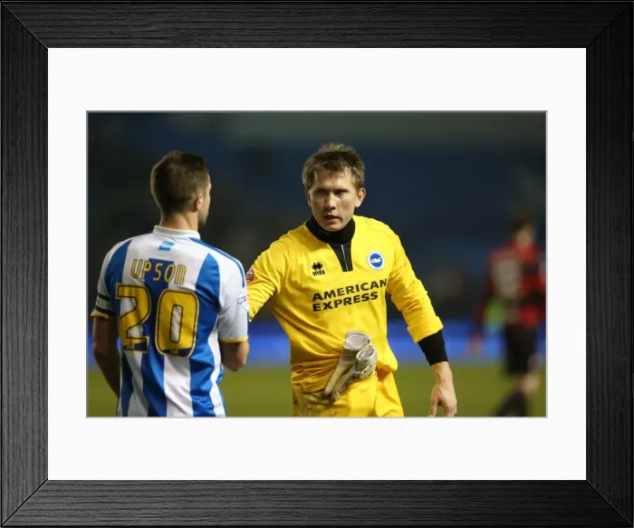 Framed Print : Brighton & Hove Albion vs. QPR: A Historic 11-3 Victory (2013-14 Home Games) Framed Print : Brighton & Hove Albion vs. QPR: A Historic 11-3 Victory (2013-14 Home Games)