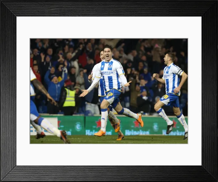 Framed Print : Stephen Ward's Double: Brighton & Hove Albion vs. QPR, March 11, 2014 Framed Print : Stephen Ward's Double: Brighton & Hove Albion vs. QPR, March 11, 2014