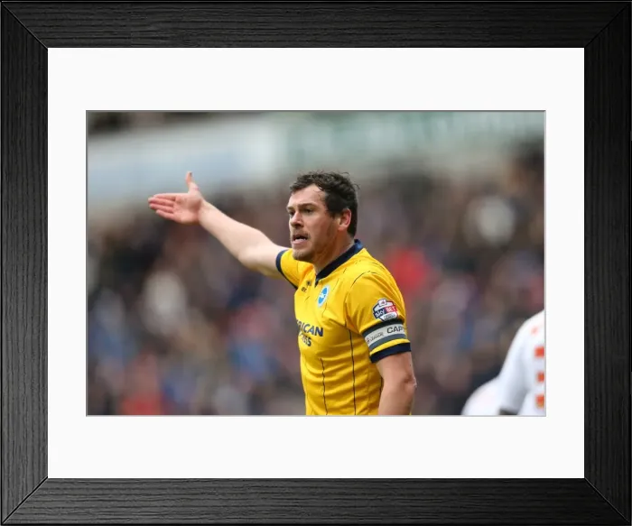 Framed Print : Brighton & Hove Albion vs. Bolton Wanderers (Away): March 15, 2014 (13-14 Season) Framed Print : Brighton & Hove Albion vs. Bolton Wanderers (Away): March 15, 2014 (13-14 Season)