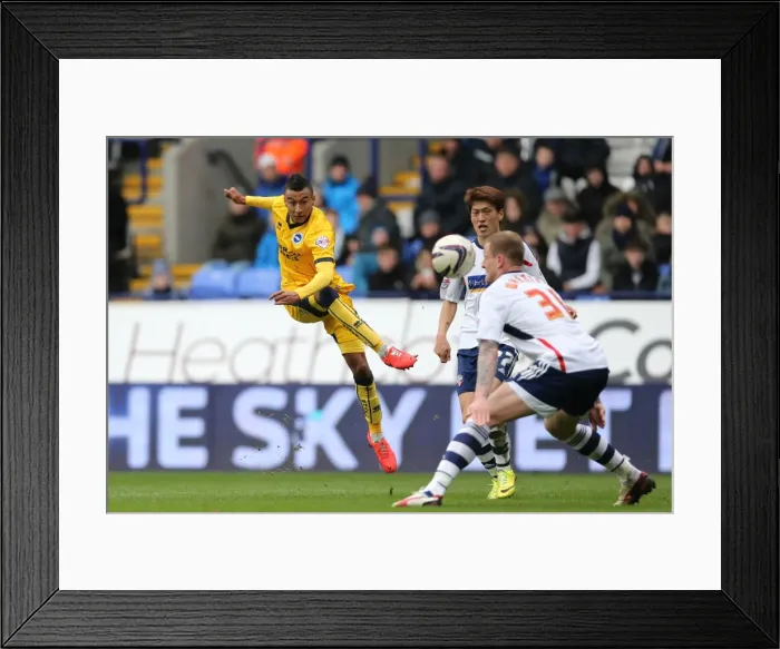 Framed Print : Brighton & Hove Albion vs. Bolton Wanderers: Away Game Highlights (15-03-14) Framed Print : Brighton & Hove Albion vs. Bolton Wanderers: Away Game Highlights (15-03-14)