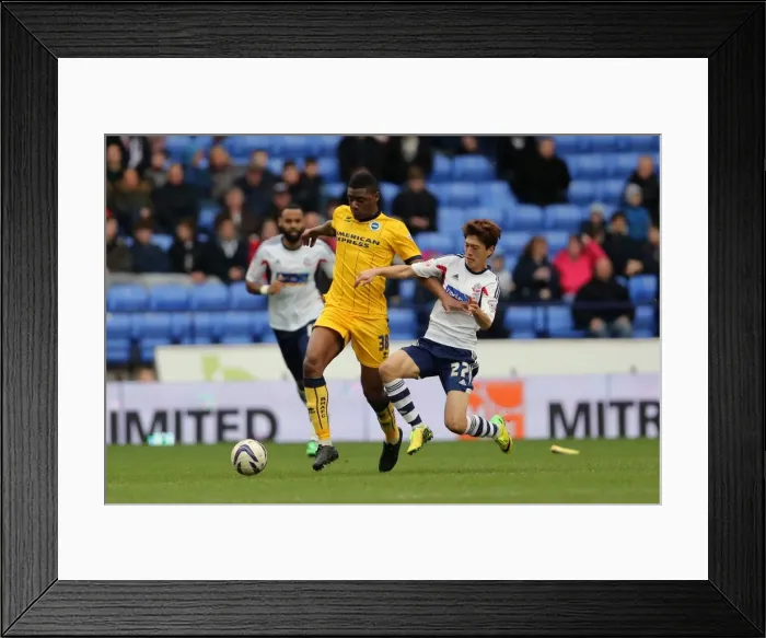 Framed Print : Brighton & Hove Albion vs. Bolton Wanderers (Away): 15-03-14 - The Unforgettable 13-14 Season Game Framed Print : Brighton & Hove Albion vs. Bolton Wanderers (Away): 15-03-14 - The Unforgettable 13-14 Season Game