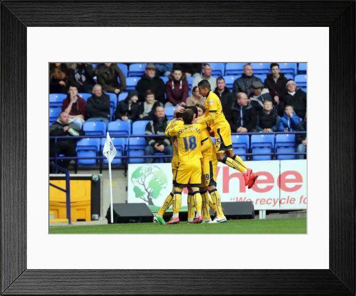 Framed Print : Brighton & Hove Albion vs. Bolton Wanderers (Away): March 15, 2014 (13-14 Season) Framed Print : Brighton & Hove Albion vs. Bolton Wanderers (Away): March 15, 2014 (13-14 Season)