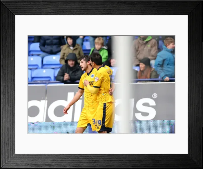 Framed Print : Brighton & Hove Albion vs. Bolton Wanderers (Away): March 15, 2014 (13-14 Season) Framed Print : Brighton & Hove Albion vs. Bolton Wanderers (Away): March 15, 2014 (13-14 Season)