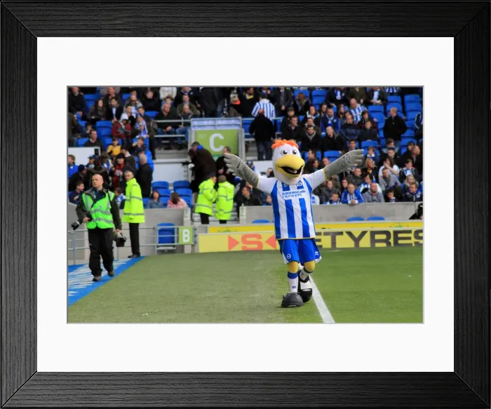 Framed Print : Brighton & Hove Albion vs. Ipswich Town (22-03-14): A 2013-14 Home Game Framed Print : Brighton & Hove Albion vs. Ipswich Town (22-03-14): A 2013-14 Home Game