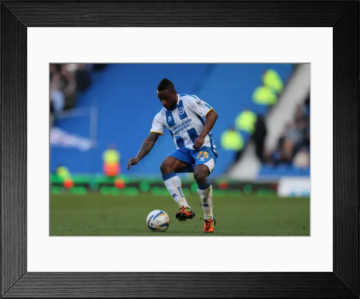 Framed Print : Brighton & Hove Albion vs. Ipswich Town (2013-14 Season): Home Game Highlights (Ipswich Town 22-03-14)