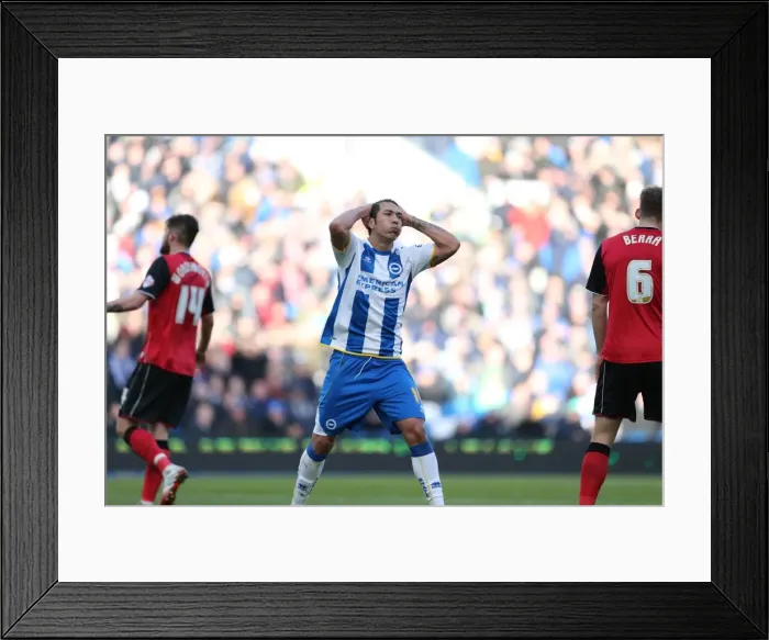 Framed Print : Brighton & Hove Albion vs. Ipswich Town (2013-14 Season: Home Game) Framed Print : Brighton & Hove Albion vs. Ipswich Town (2013-14 Season: Home Game)
