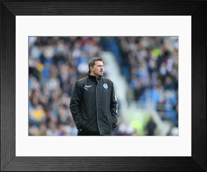 Framed Print : Brighton & Hove Albion vs. Ipswich Town (2013-14 Season: Home Game) Framed Print : Brighton & Hove Albion vs. Ipswich Town (2013-14 Season: Home Game)