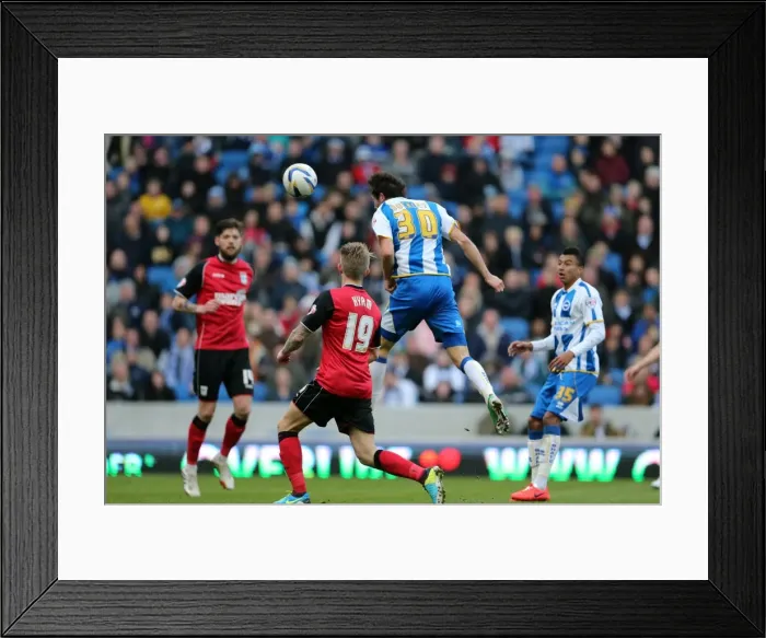 Framed Print : Brighton & Hove Albion vs. Ipswich Town: 2013-14 Season Home Game