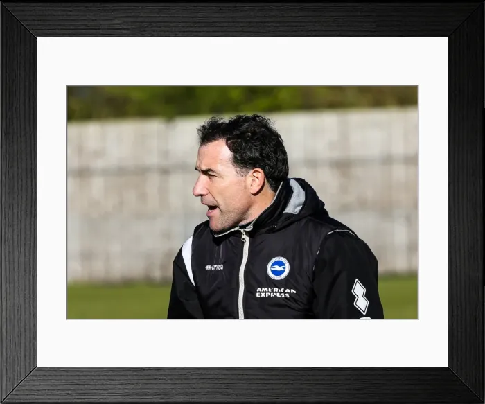 Framed Print : Brighton & Hove Albion vs. Tottenham Hotspur: Women's Match, March 23, 2014 Framed Print : Brighton & Hove Albion vs. Tottenham Hotspur: Women's Match, March 23, 2014