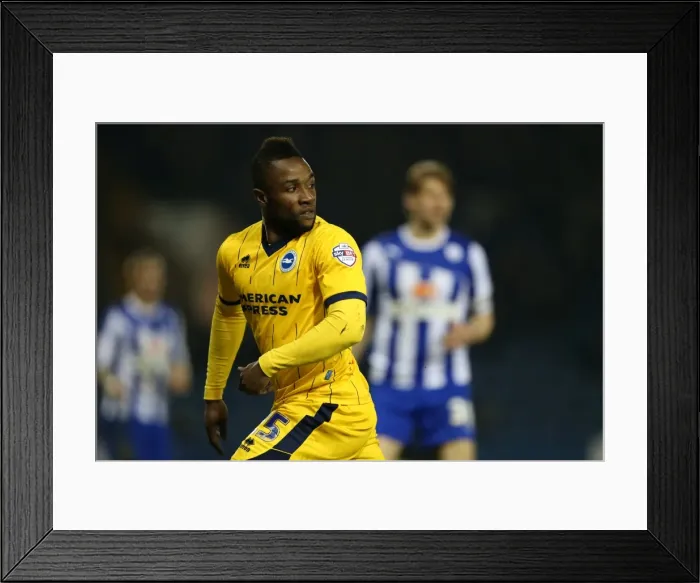 Framed Print : Brighton & Hove Albion vs. Sheffield Wednesday (Away): 25-03-14 Framed Print : Brighton & Hove Albion vs. Sheffield Wednesday (Away): 25-03-14
