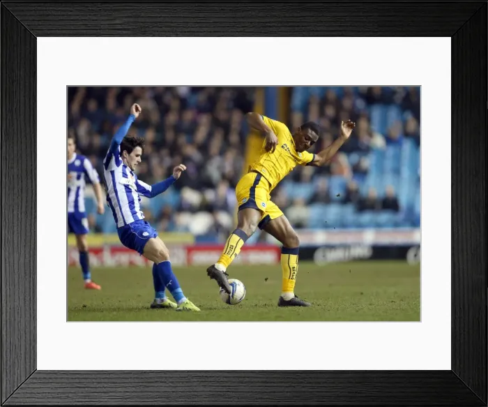 Framed Print : Brighton & Hove Albion vs. Sheffield Wednesday (Away Game - March 25, 2014) Framed Print : Brighton & Hove Albion vs. Sheffield Wednesday (Away Game - March 25, 2014)